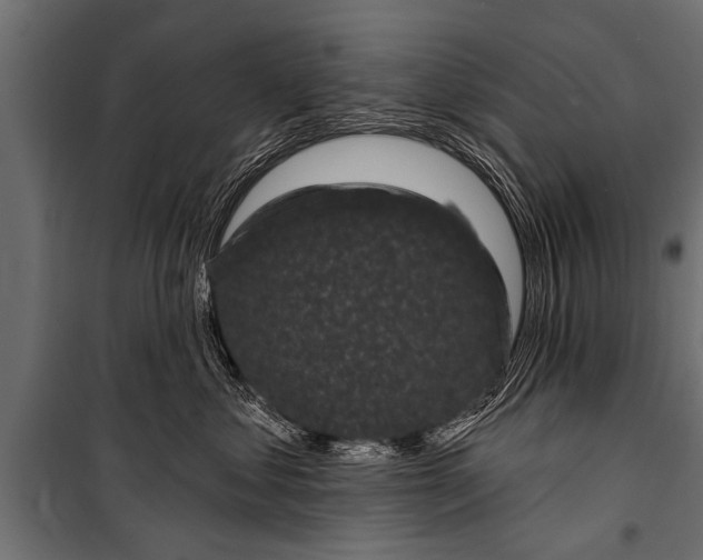 X0000099960621200806201339