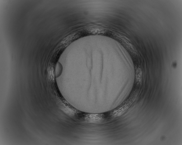 X0000099960622200806201339