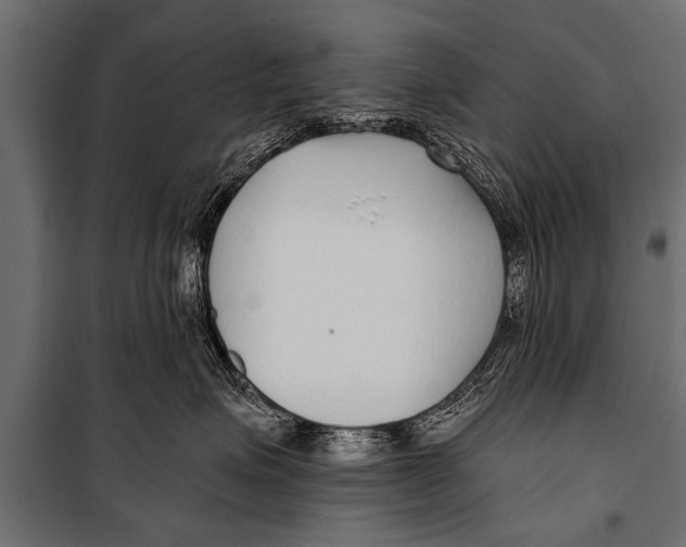 X0000099960623200806201339
