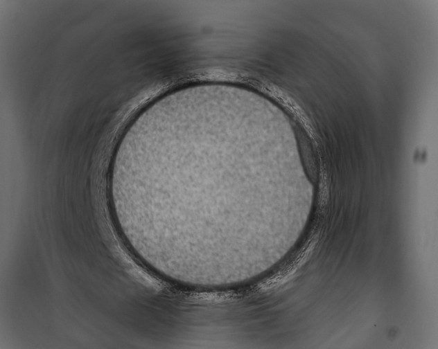 X0000099960625200806201338