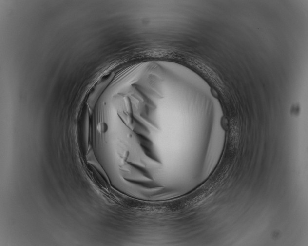 X0000099960626200806201338