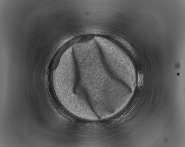 X0000099960627200806201338