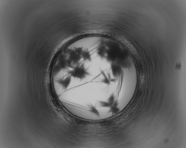X0000099960628200806201338