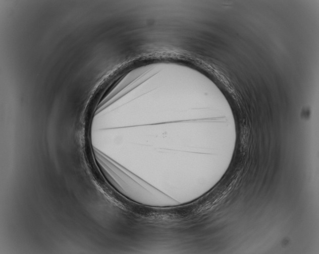 X0000099960629200806201338