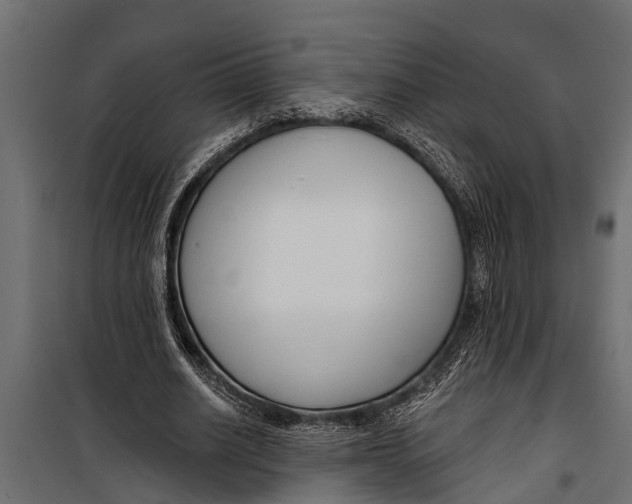 X0000099960630200806201338