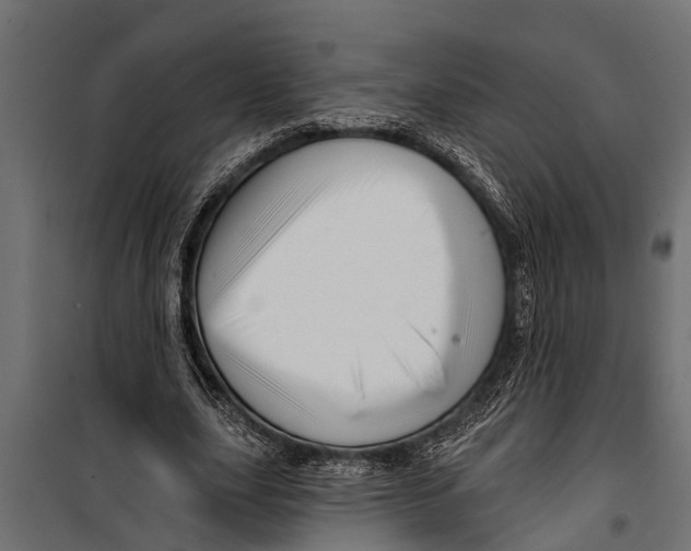X0000099960631200806201338