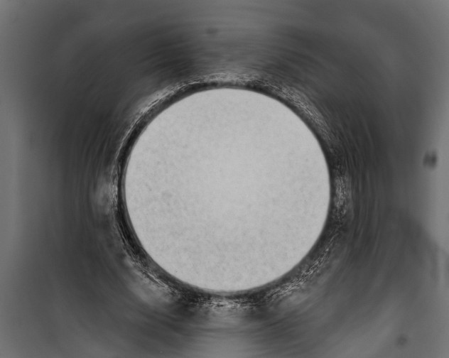 X0000099960632200806201338