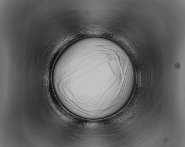 X0000099960634200806201338