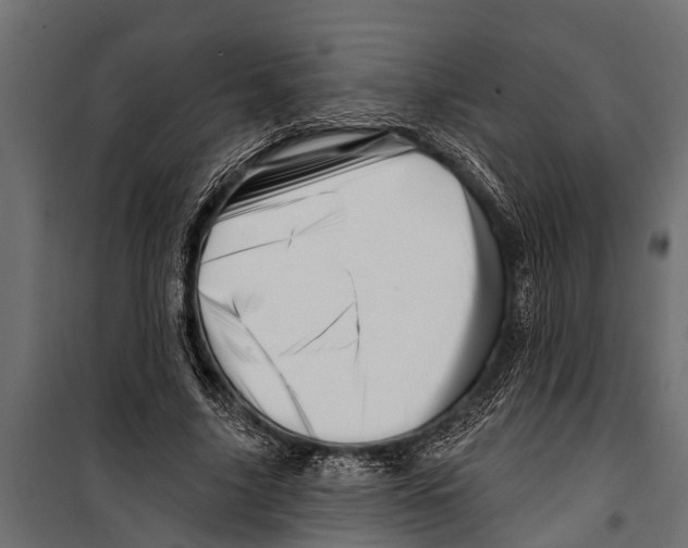 X0000099960635200806201338