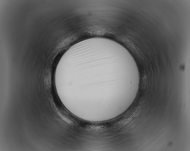 X0000099960638200806201338
