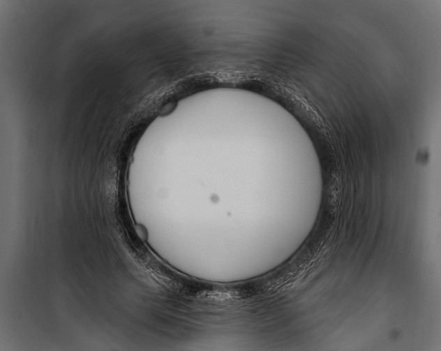 X0000099960639200806201338