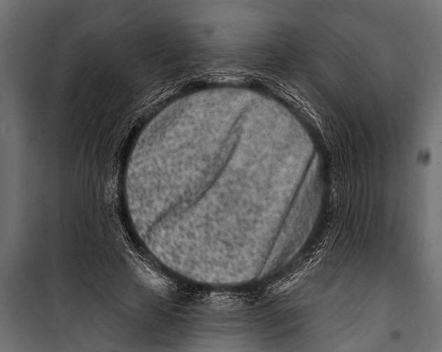 X0000099960641200806201338
