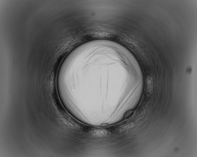 X0000099960642200806201338
