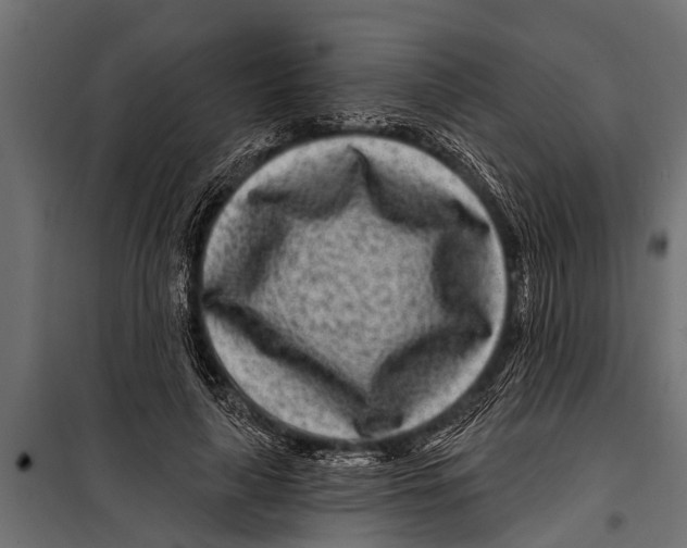 X0000099960643200806201338