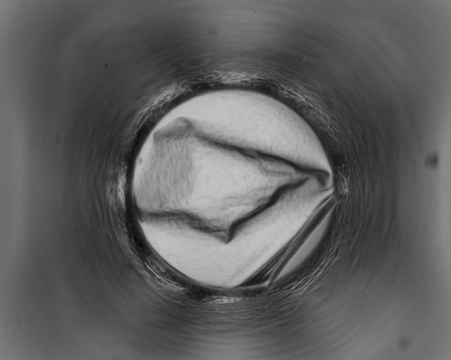 X0000099960644200806201338