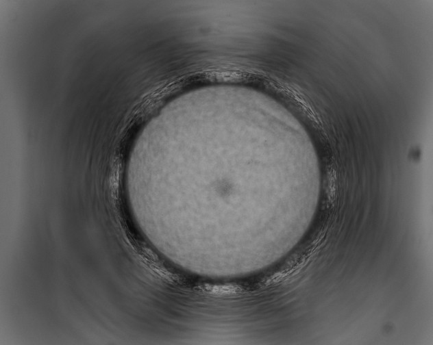 X0000099960645200806201338
