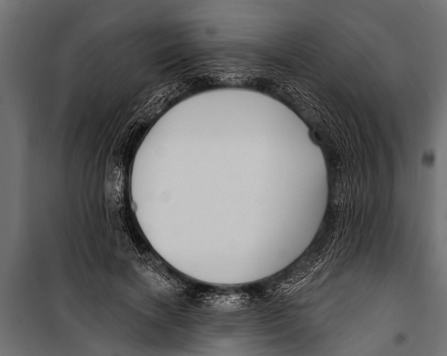 X0000099960646200806201338