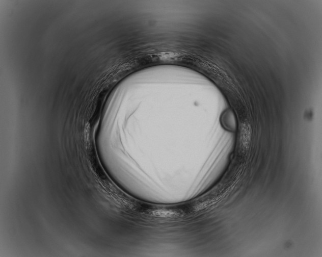 X0000099960650200806201338