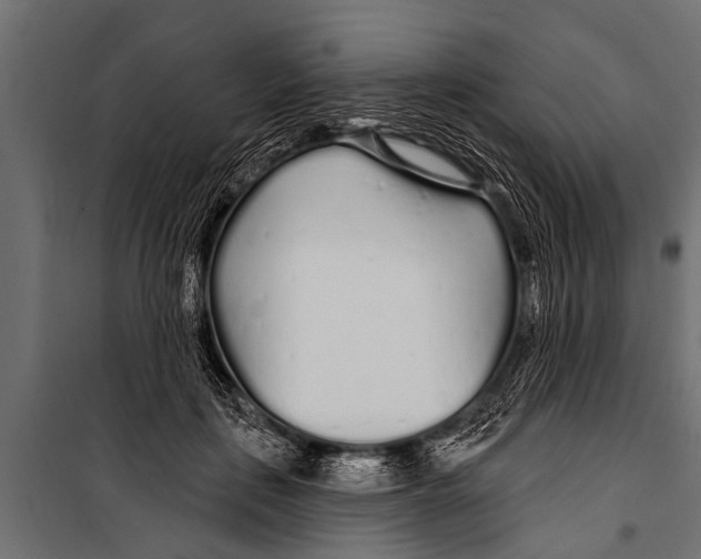 X0000099960651200806201338