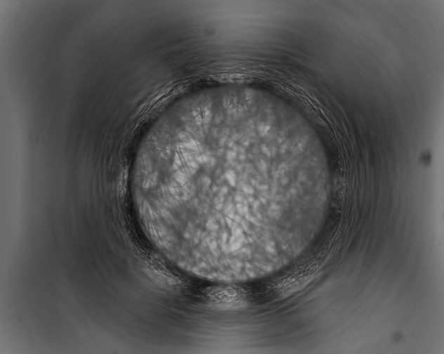 X0000099960652200806201338