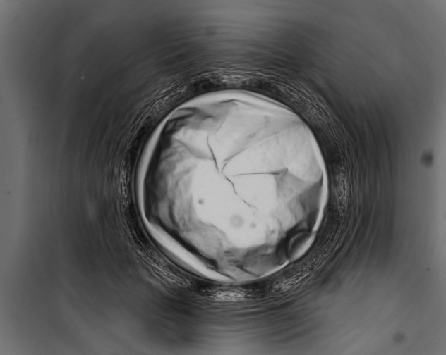 X0000099960653200806201338