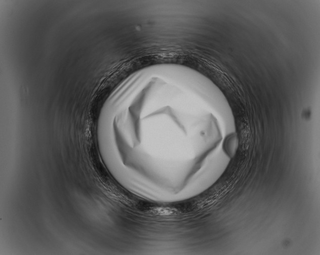 X0000099960654200806201338