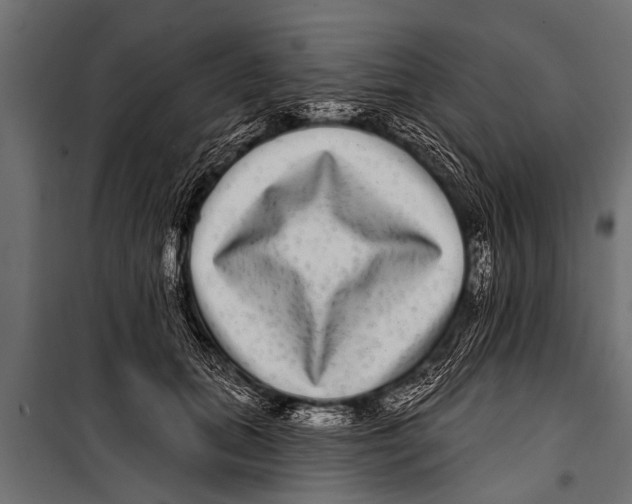 X0000099960655200806201338