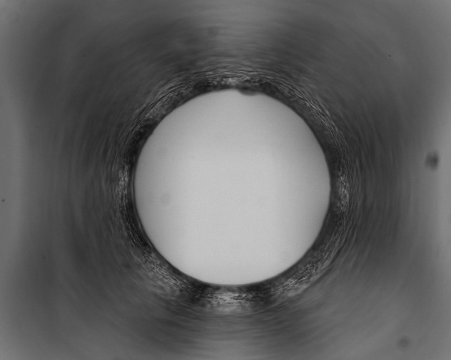 X0000099960657200806201338