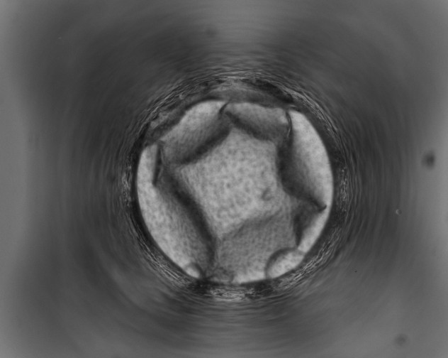 X0000099960661200806201338