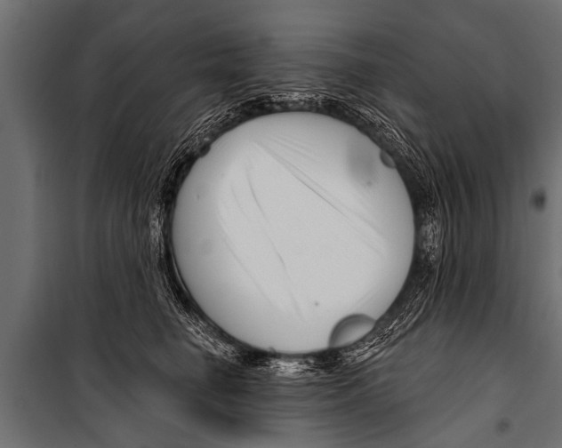 X0000099960662200806201338