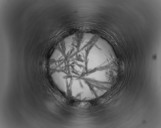 X0000099960663200806201338