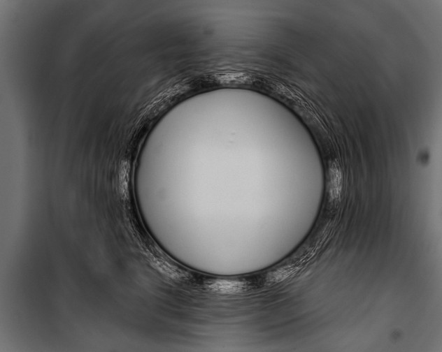 X0000099960664200806201338