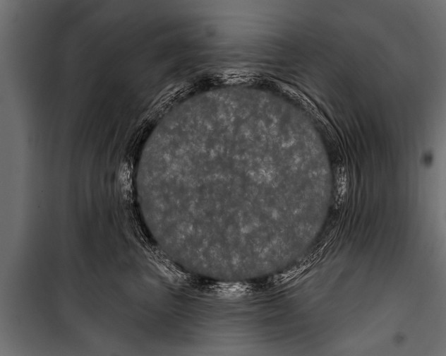 X0000099960667200806201338