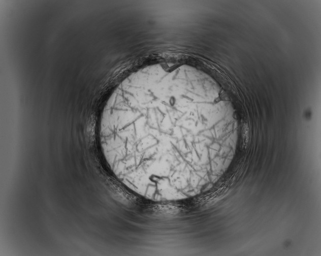 X0000099960668200806201338