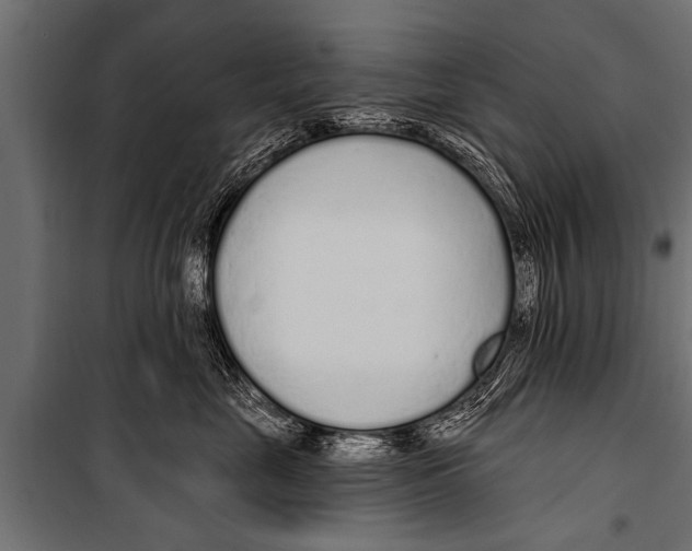 X0000099960669200806201339