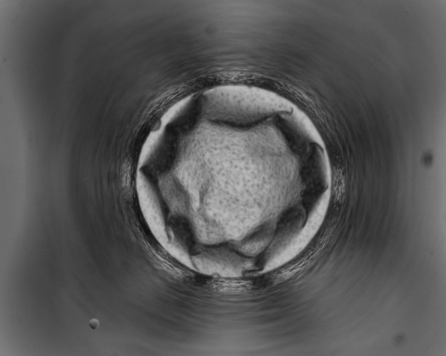 X0000099960670200806201339