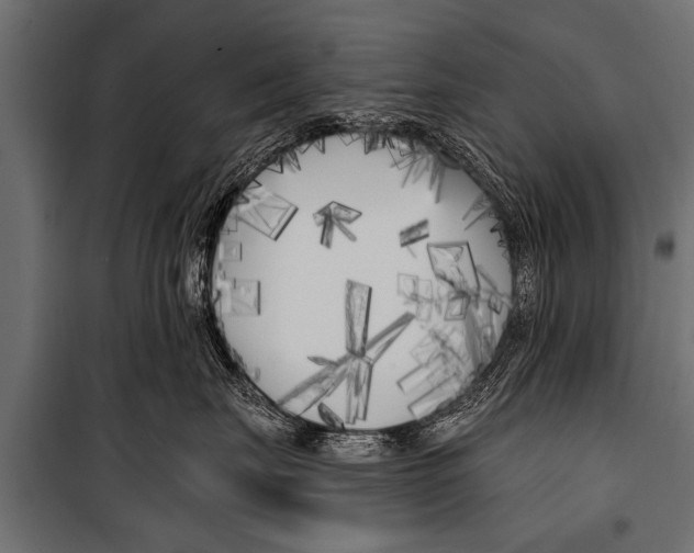 X0000099960671200806201339