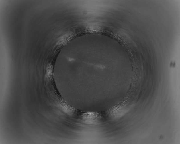 X0000099960672200806201339