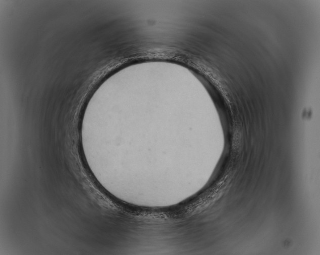 X0000099960673200806201338