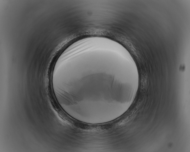 X0000099960674200806201338