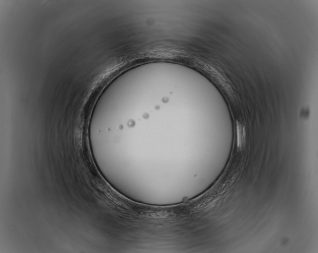 X0000099960675200806201338