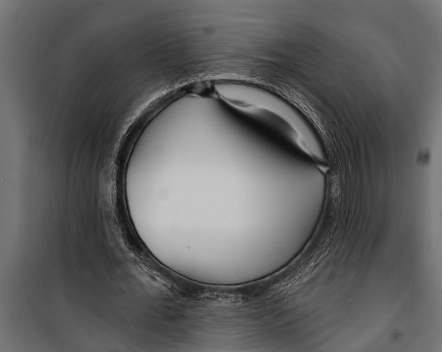 X0000099960676200806201338