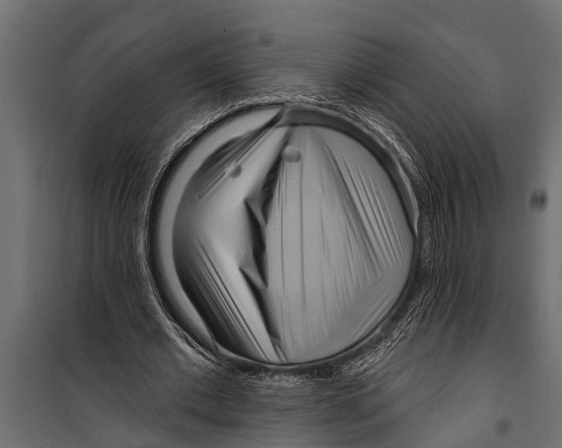 X0000099960677200806201338