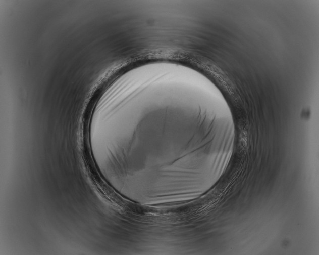 X0000099960678200806201338