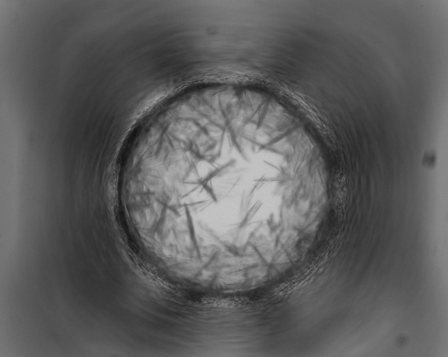 X0000099960679200806201338