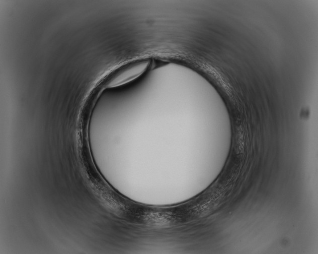 X0000099960680200806201338