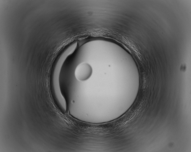 X0000099960681200806201338