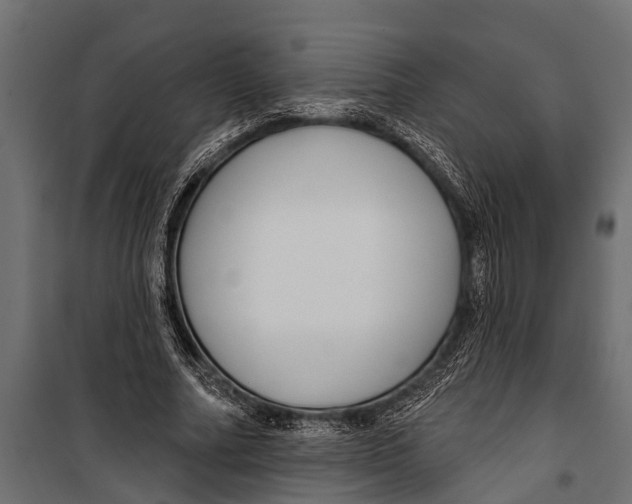 X0000099960682200806201338