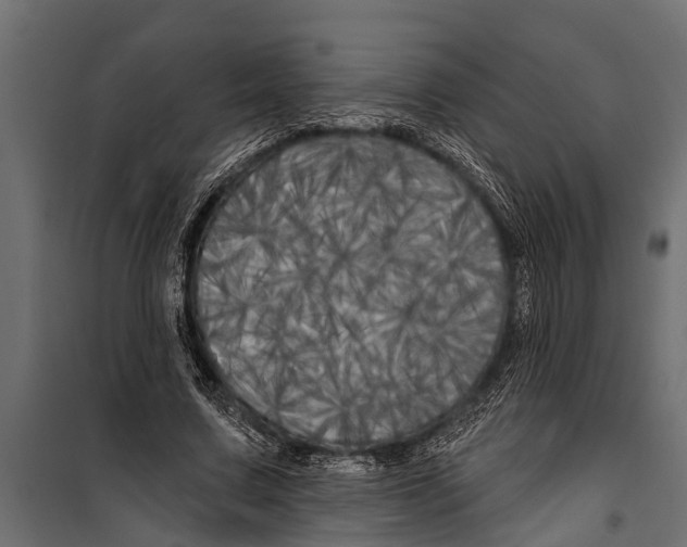 X0000099960683200806201338