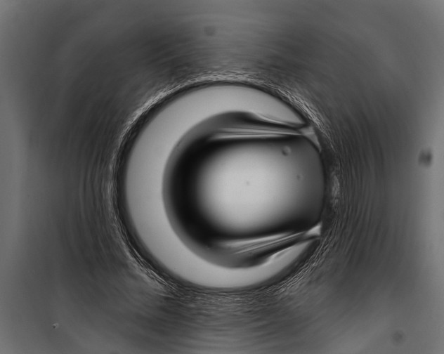 X0000099960684200806201338